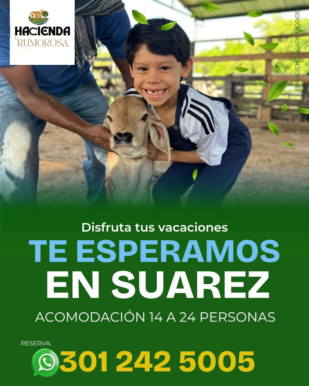 WhatsApp Image 2025-06-19 at 10.46.40 AM